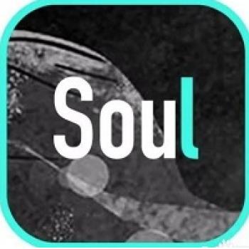 【直充】soul 2500soul币 330元